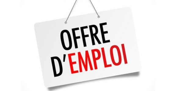 Nous recherchons un Développeur informatique C# (H/F)